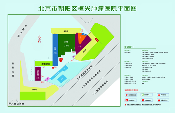 啊操我啊好爽北京市朝阳区桓兴肿瘤医院平面图